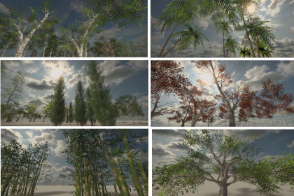 Realistic Trees & Foliage Bundle (Mobile Optimized)