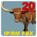 Domestic Bull Texas Long Horn (SV)