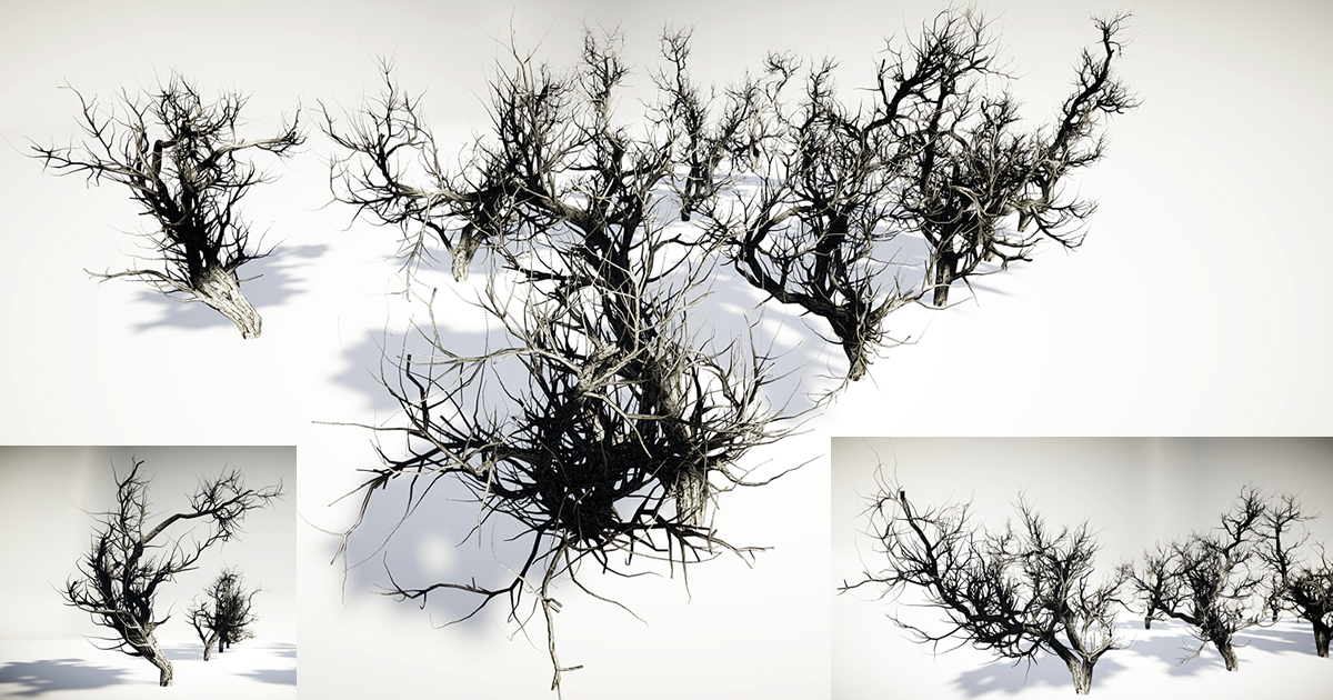 BushGen04_DeadBushes01 | 3D Vegetation | Unity Asset Store