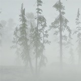 Mist