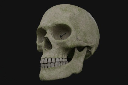 Realistic male skull (Game ready with LODs)