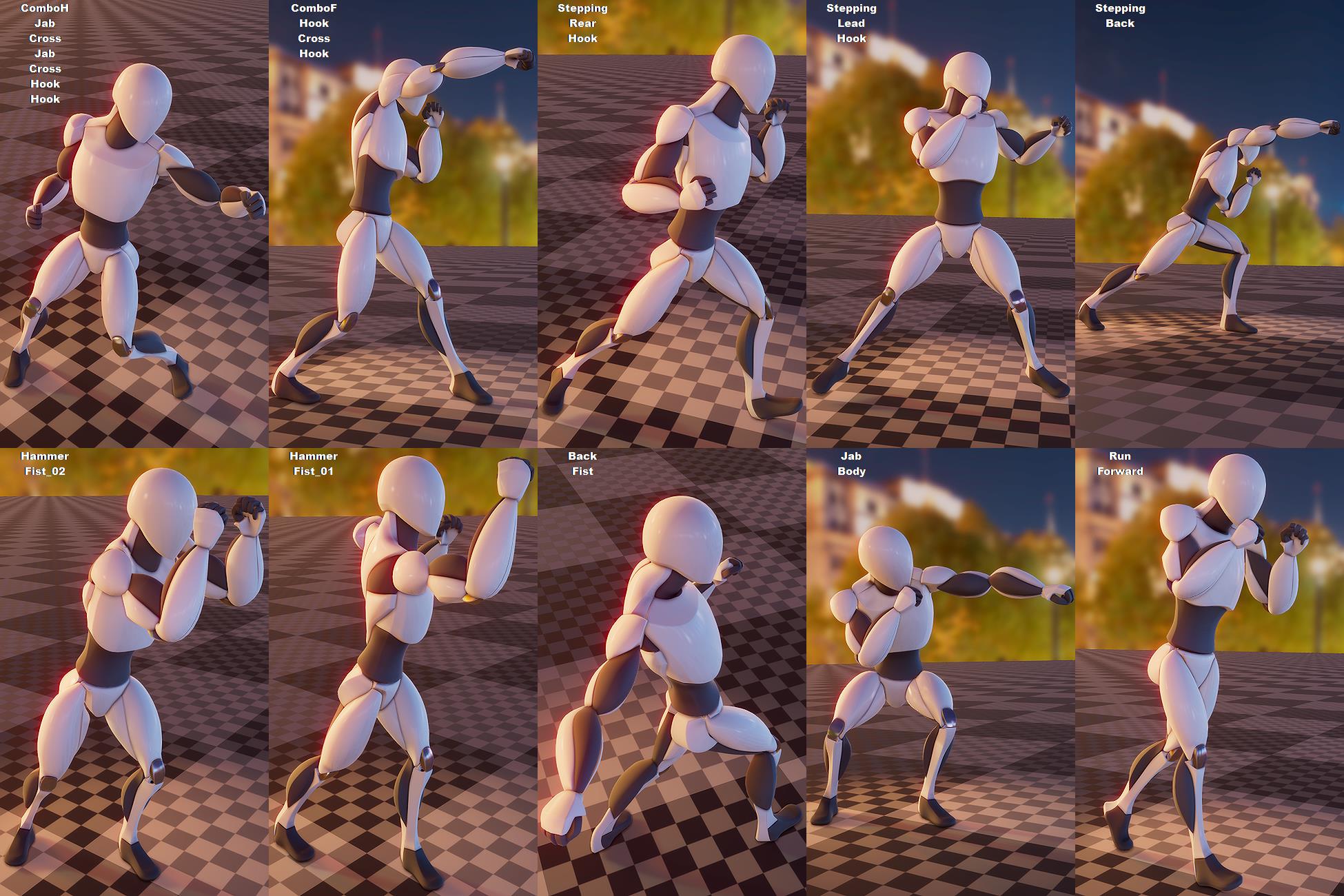 Boxing animation package