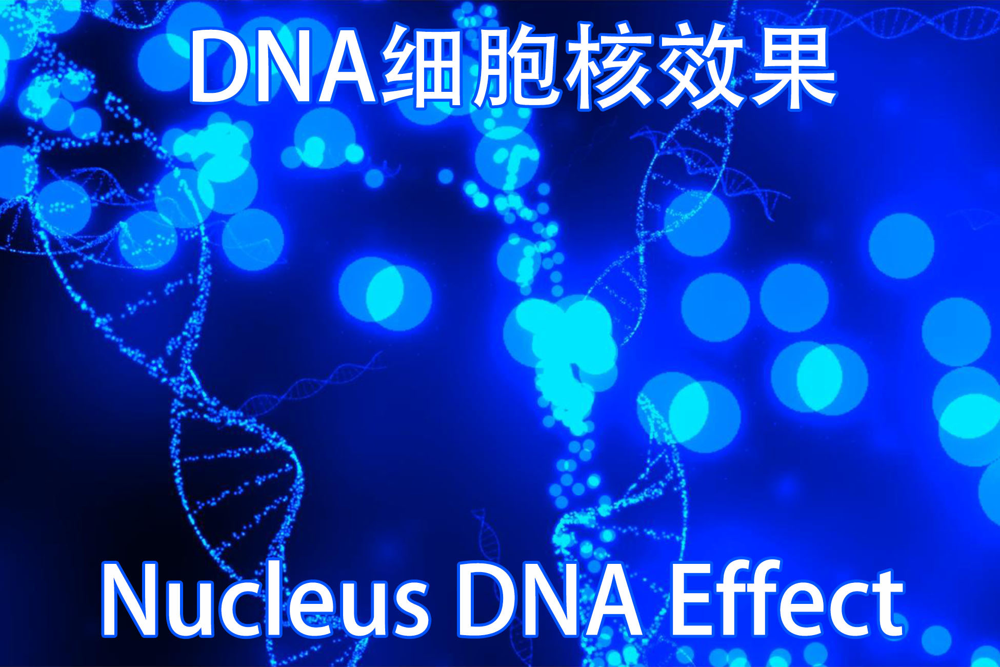 Nucleus DNA Effect