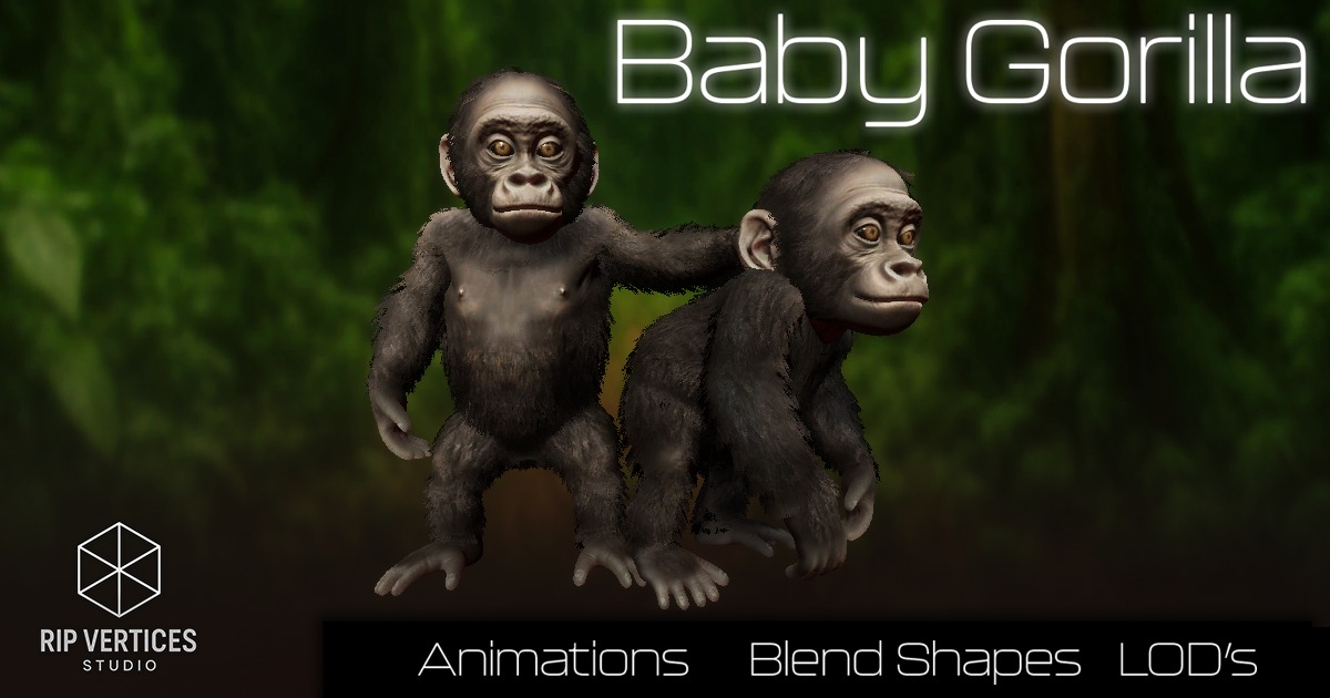 Gorilla Baby | 3D Animals | Unity Asset Store