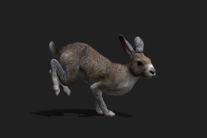 Realistic Animated Rabbit 2.0