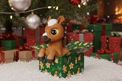 Baby Horse in the box