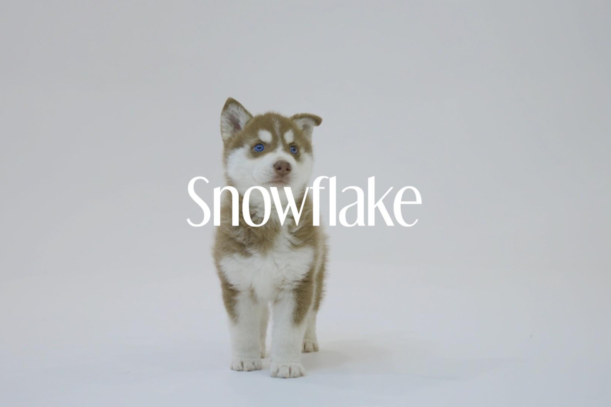 Snowflake / Soundtrak | オーディオ 音楽 | Unity Asset Store
