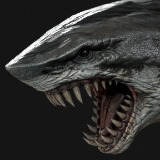 SharkM
