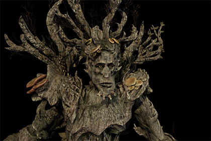 Tree ent ash