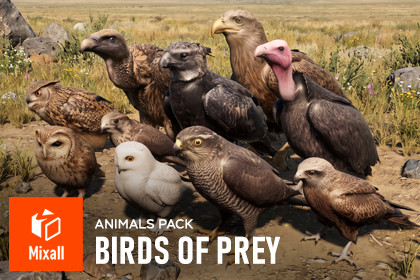 Birds of prey - animals pack