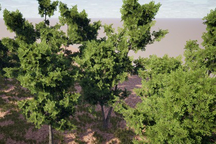 Realistic Tree Pack 8 (for HDRP)