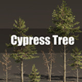 Cypress Tree