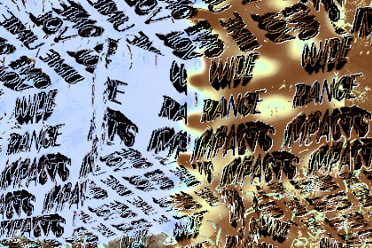 WIDE RANGE IMPACTS VOLUME ONE