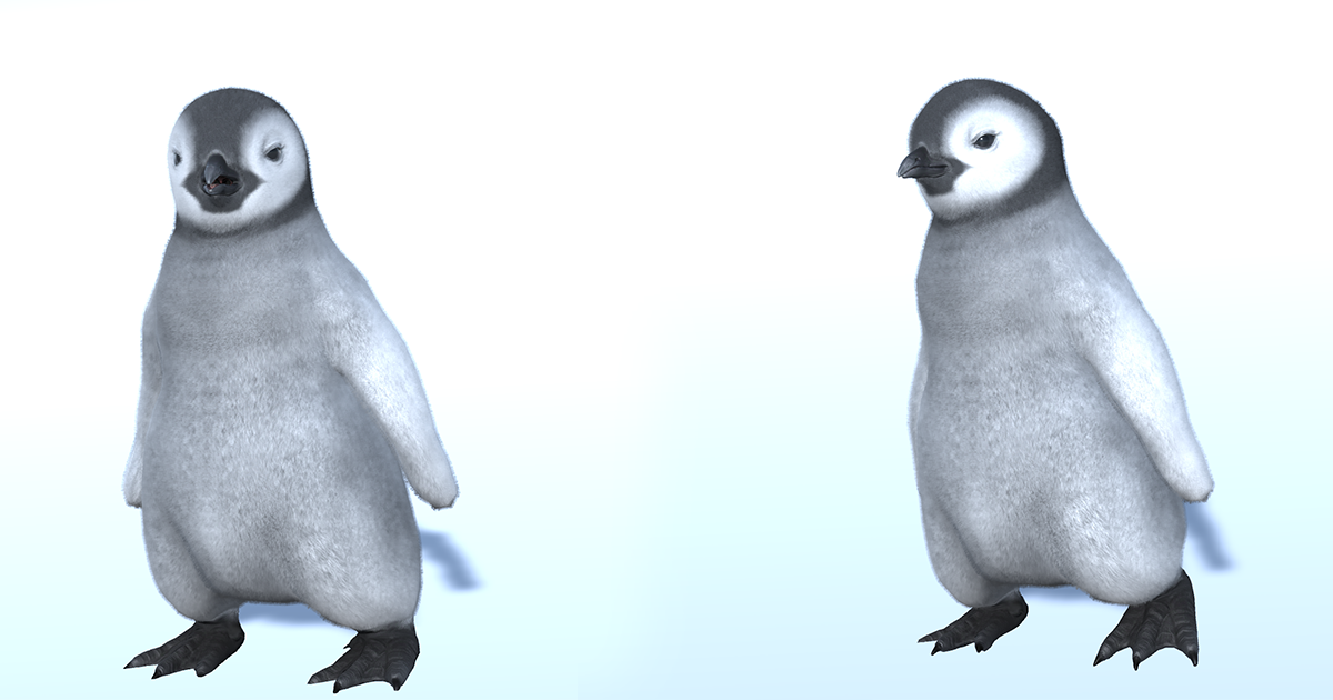 Baby Penguin | 3D 动物 | Unity Asset Store