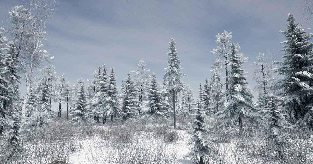 Snow Tree Model Unity Snow Realistic Forest Vegetation | 3D 주변환경 | Unity Asset Store