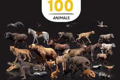 WILDPOLY - Animated Animals – Realistic Pack