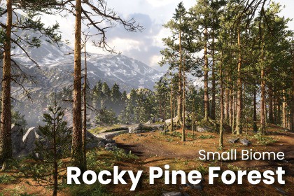 Rocky Pine Forest