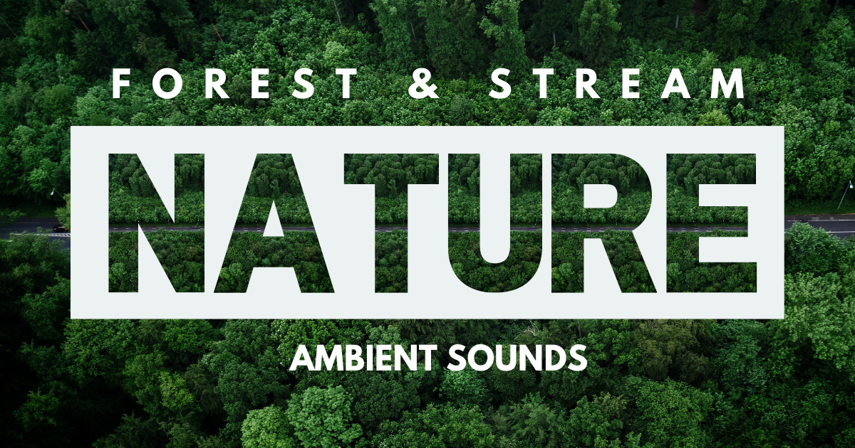 Forest Stream Nature Sounds Nature Ambient Unity Asset Store