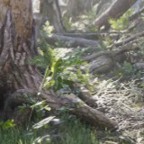 Book Of The Dead: Environment | URP Conversion