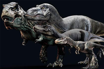 Dinosaur Trex Sue Family Bundle