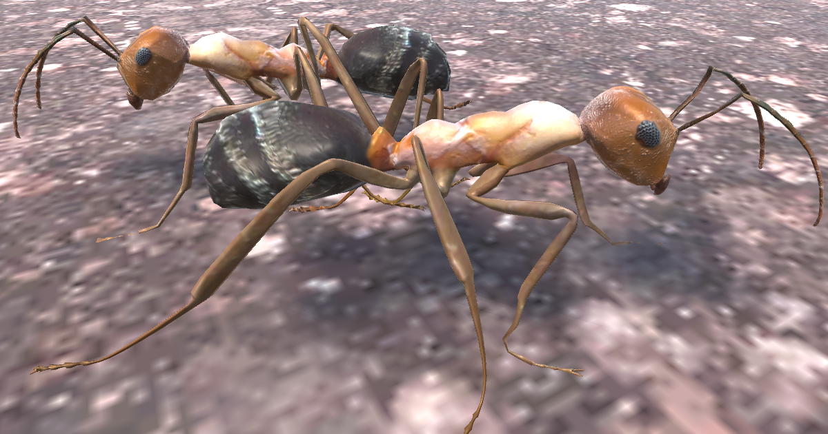 Ant pack | 3D Characters | Unity Asset Store