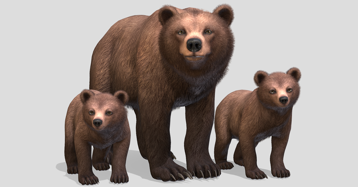 Red Bear Unity Model Bear - Family | 캐릭터 | Unity Asset Store