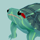 Stylized Turtle Animation Pack– FAUNA