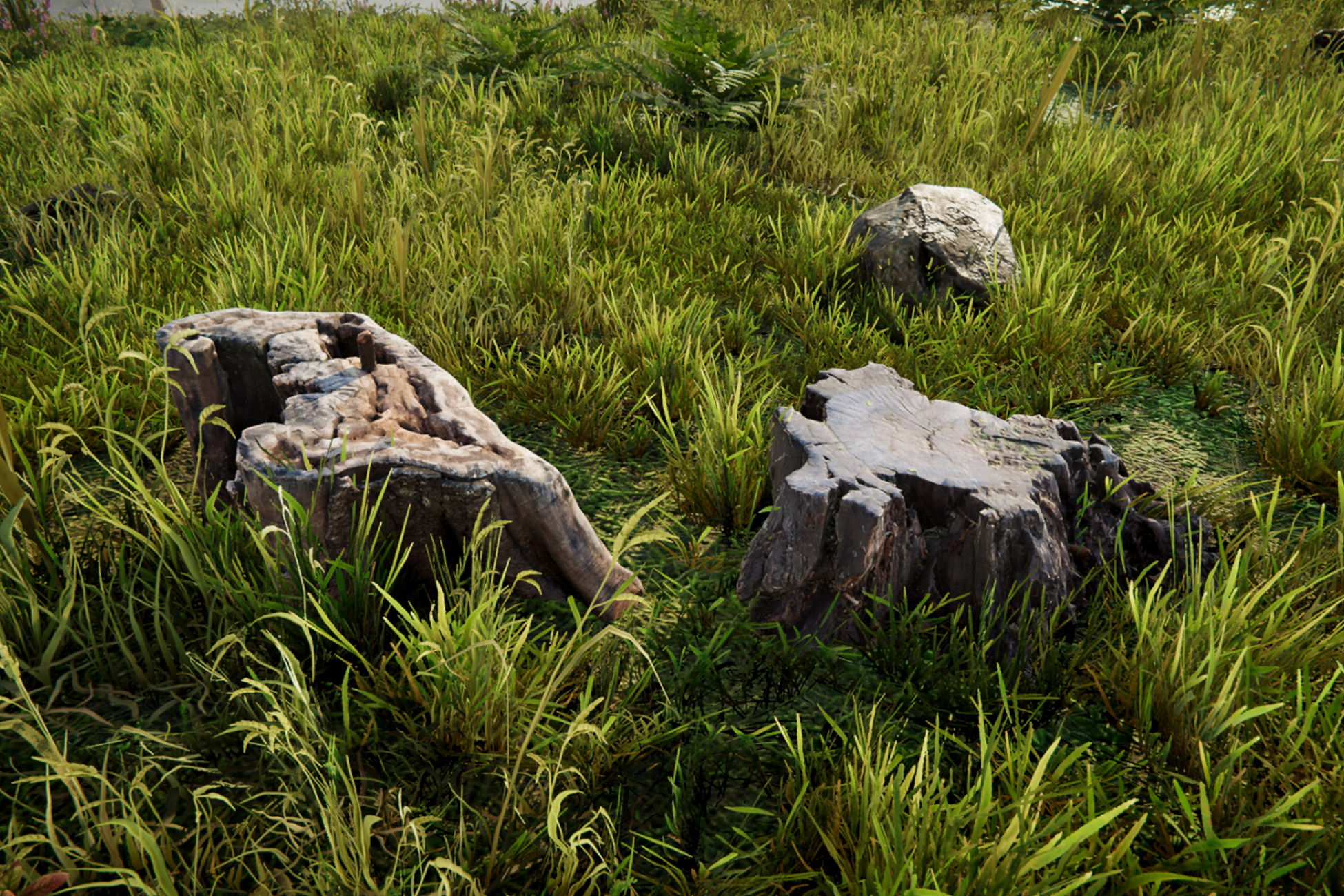 Trunk Photoscanned V1 | 3D Vegetation | Unity Asset Store
