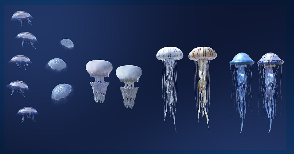 Jellyfish Pack 5 | 角色 | Unity Asset Store