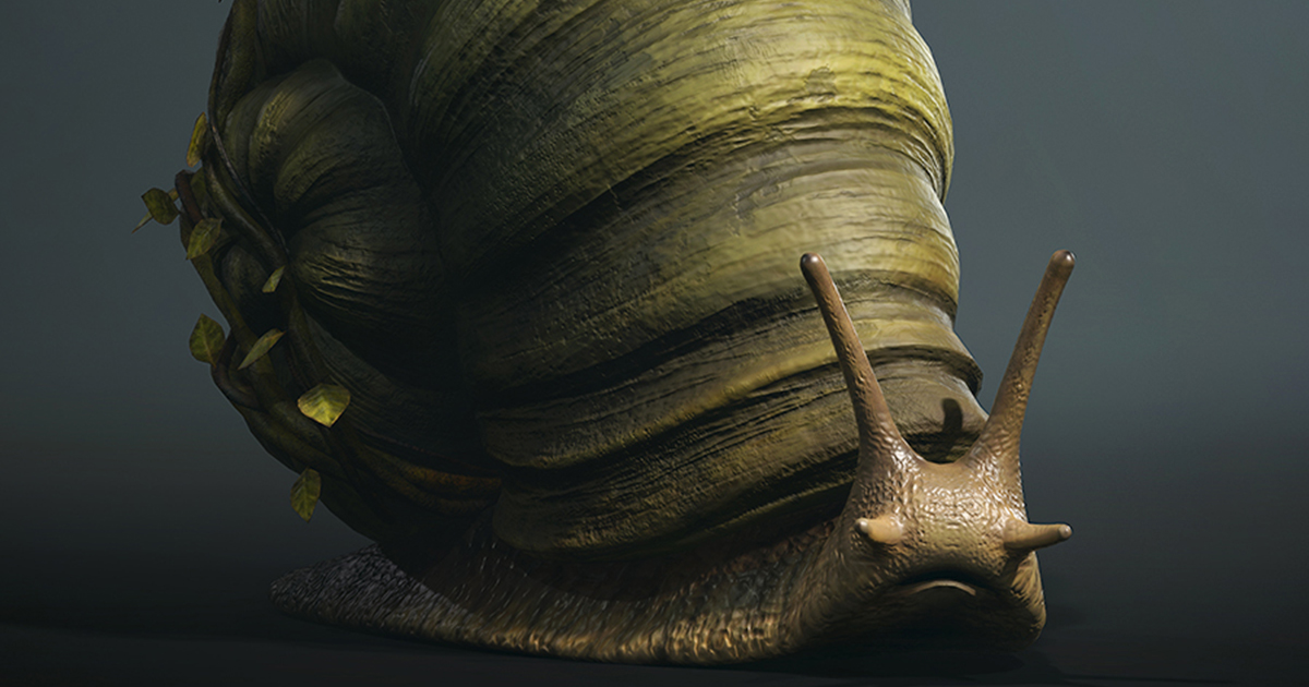 Land snail3 | Characters | Unity Asset Store