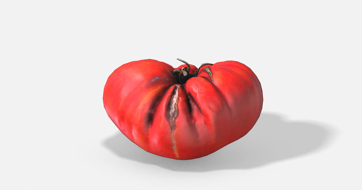 Vegetable Tomato - Photoscanned PBR | 3D Food | Unity Asset Store