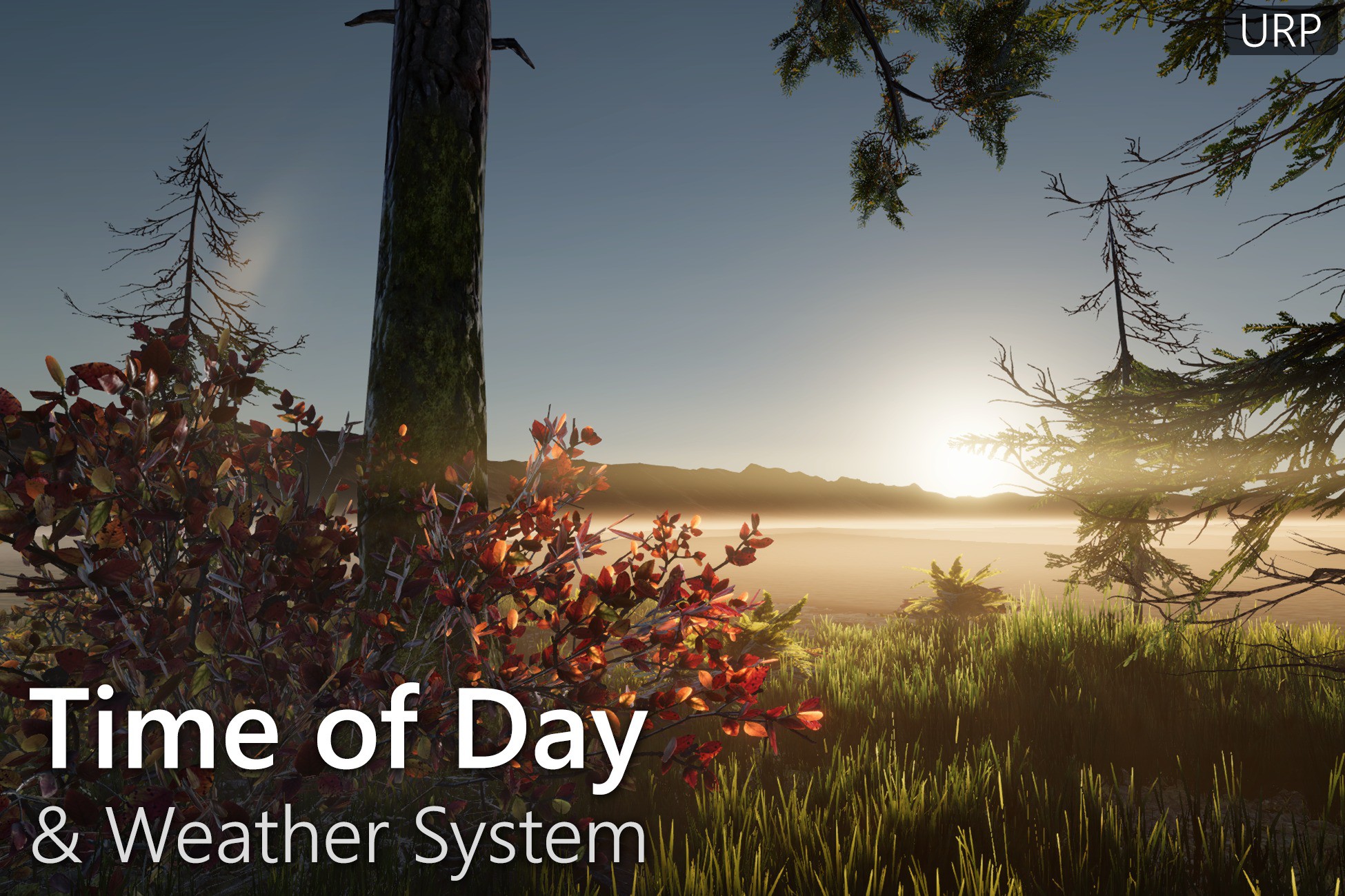 Time of Day & Weather System (URP)