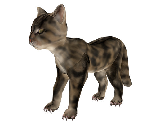Asset Screenshot 1