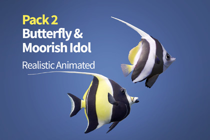 Moorish and Bannerfish