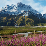 Mountain River Valley Environment (BUILT-IN version)