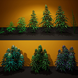 Cannabis (Hemp) Plant 3D Models Pack