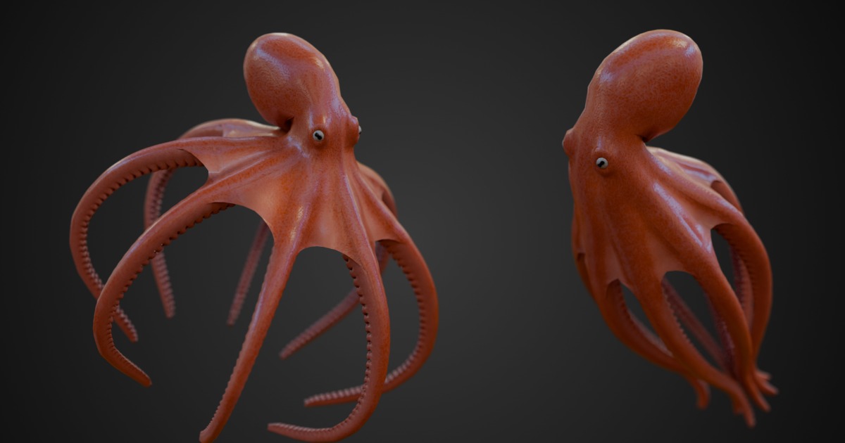 Octopus Body Unity Vrchat Animated Octopus | Characters | Unity Asset Store