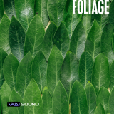 Foliage