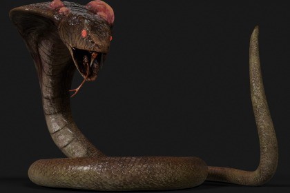 Snake - Mutant Collection