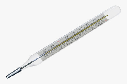 Thermometer Clinical Mercury