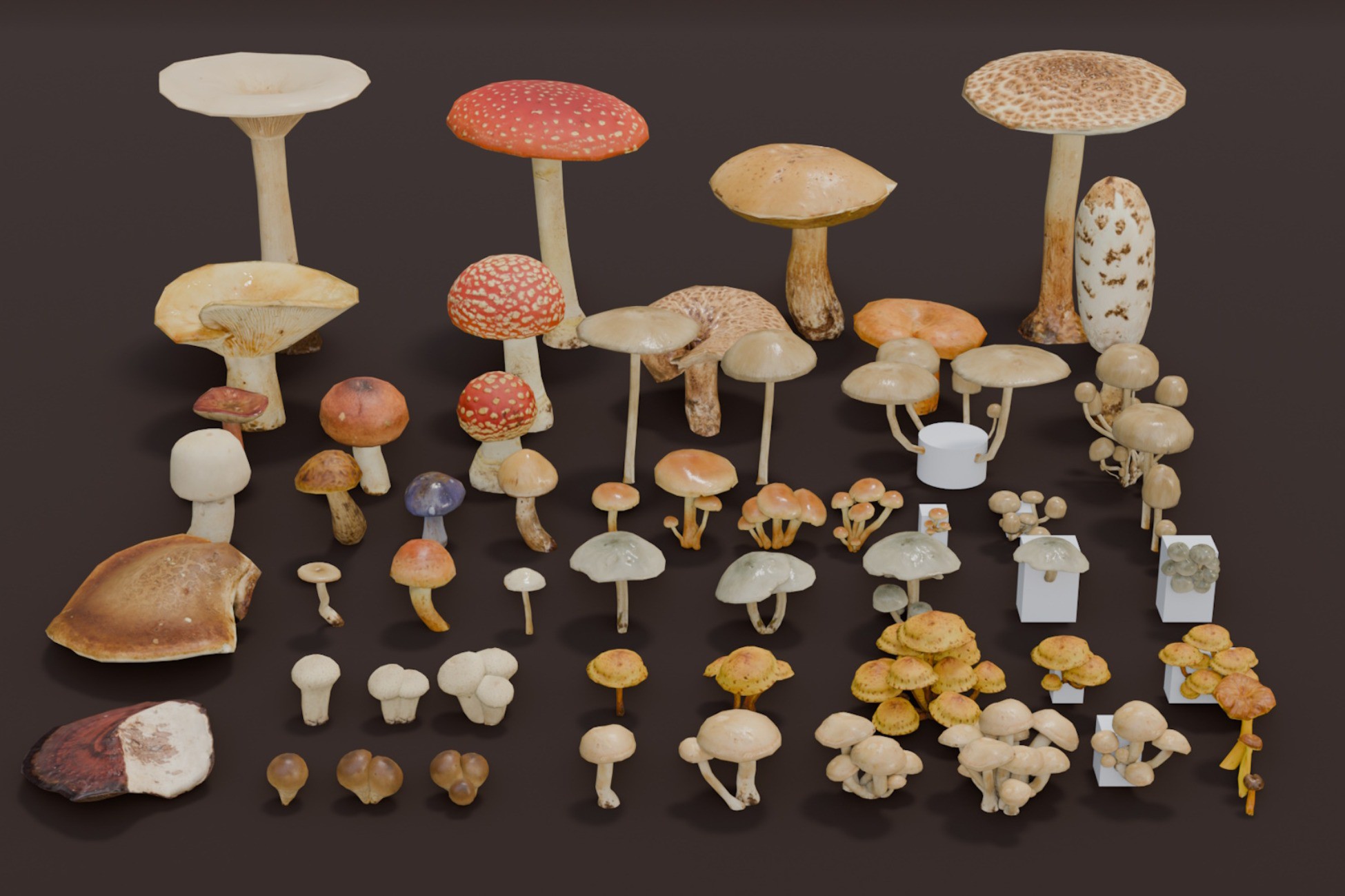 Asset Screenshot 1