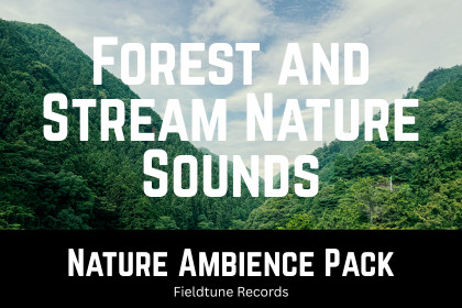 Forest & Stream Nature Sounds