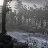 Taiga Biome Environment / Boreal Tundra Forest