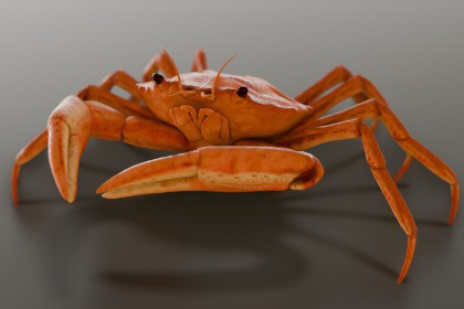 Animated Crab