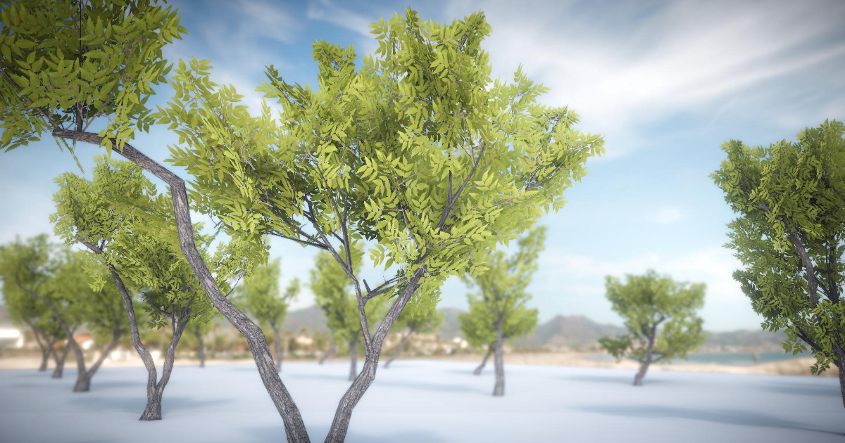 Mobile Realistic Tree 15 | 3D Trees | Unity Asset Store