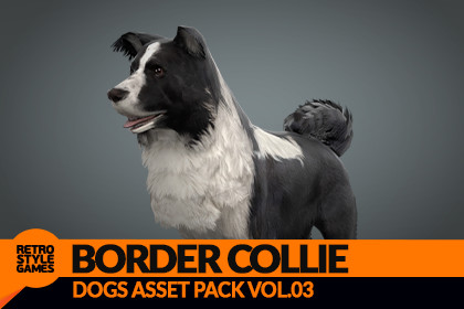 Border Collie 3D Model