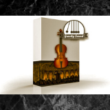 Orchestral Soundtrack