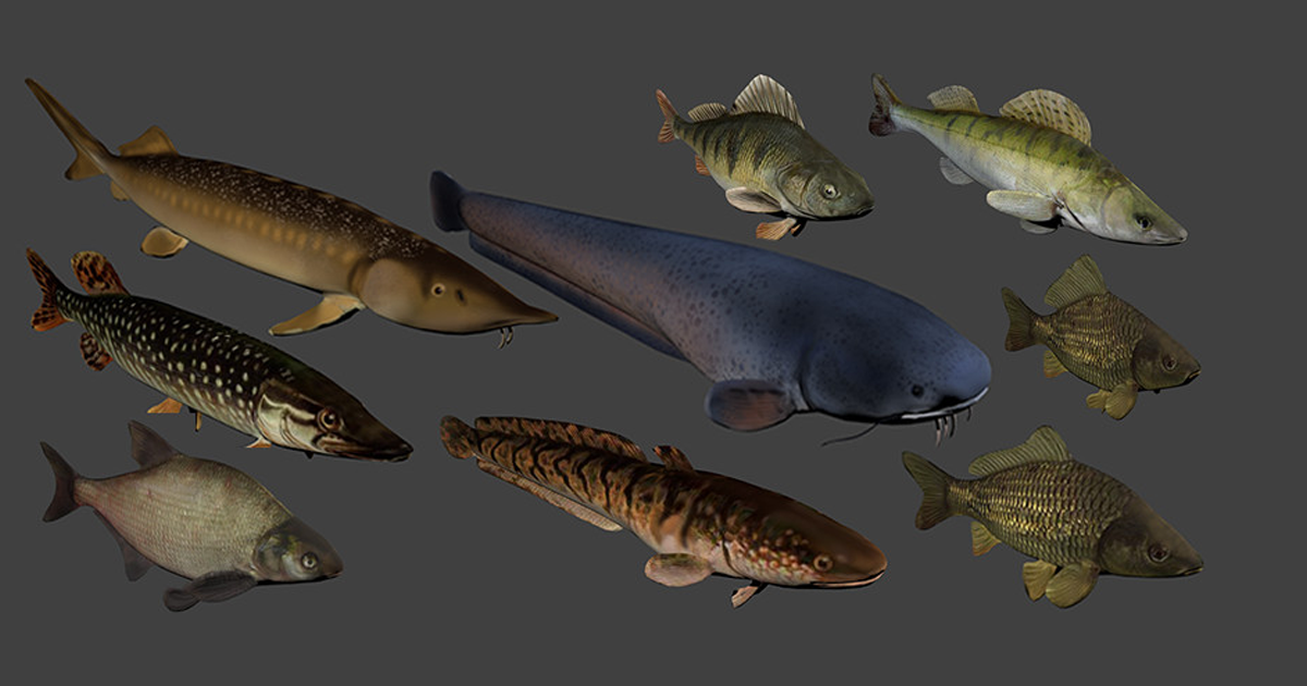 Fish animation | Characters | Unity Asset Store