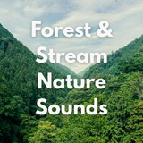 Forest Stream Nature Sounds