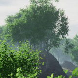 Big Tree Bundle (Mobile)
